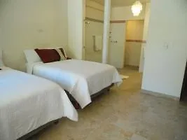 Mimosa Tree Condos 신데 델 카르멘 호텔